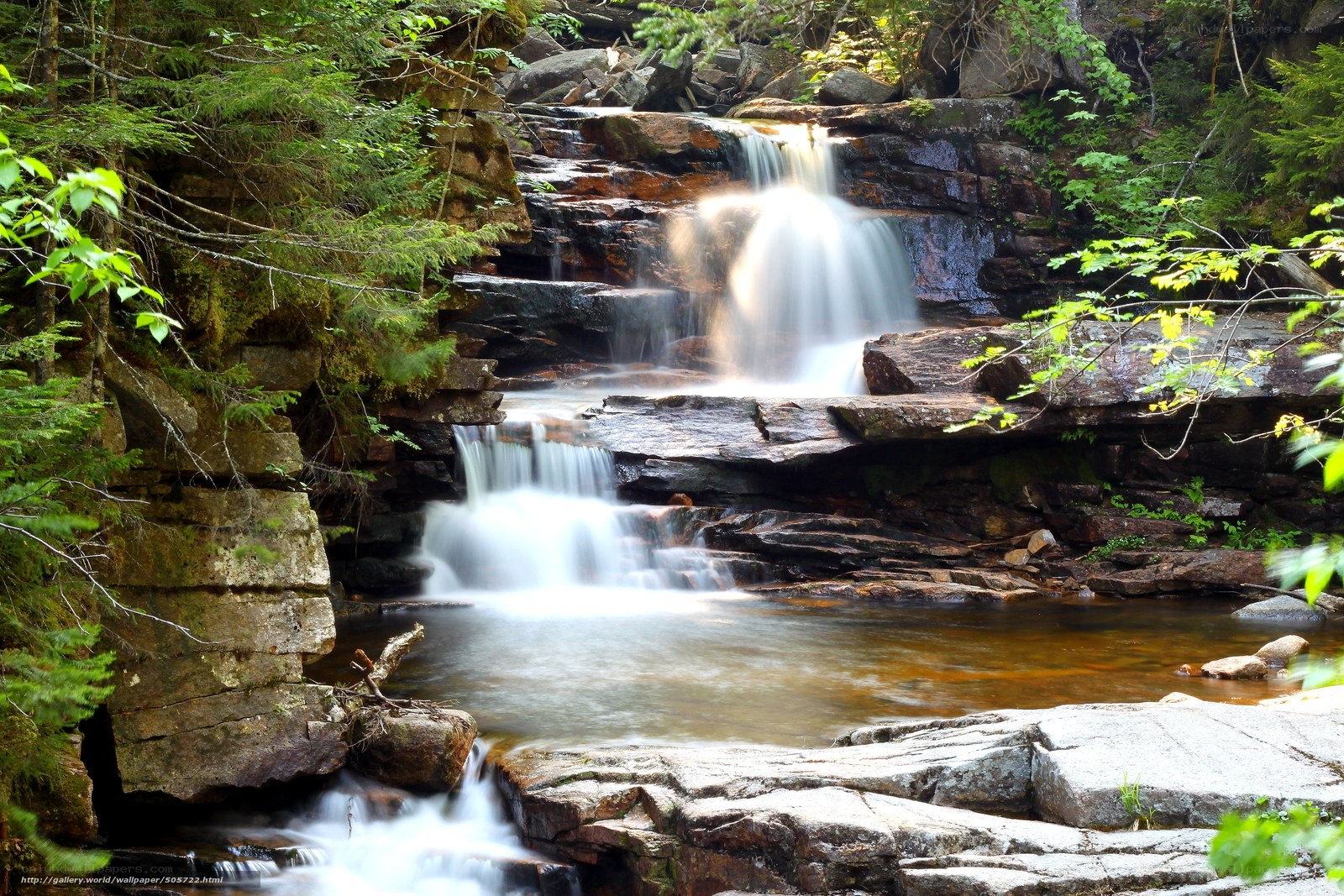 Waterfall in forested area