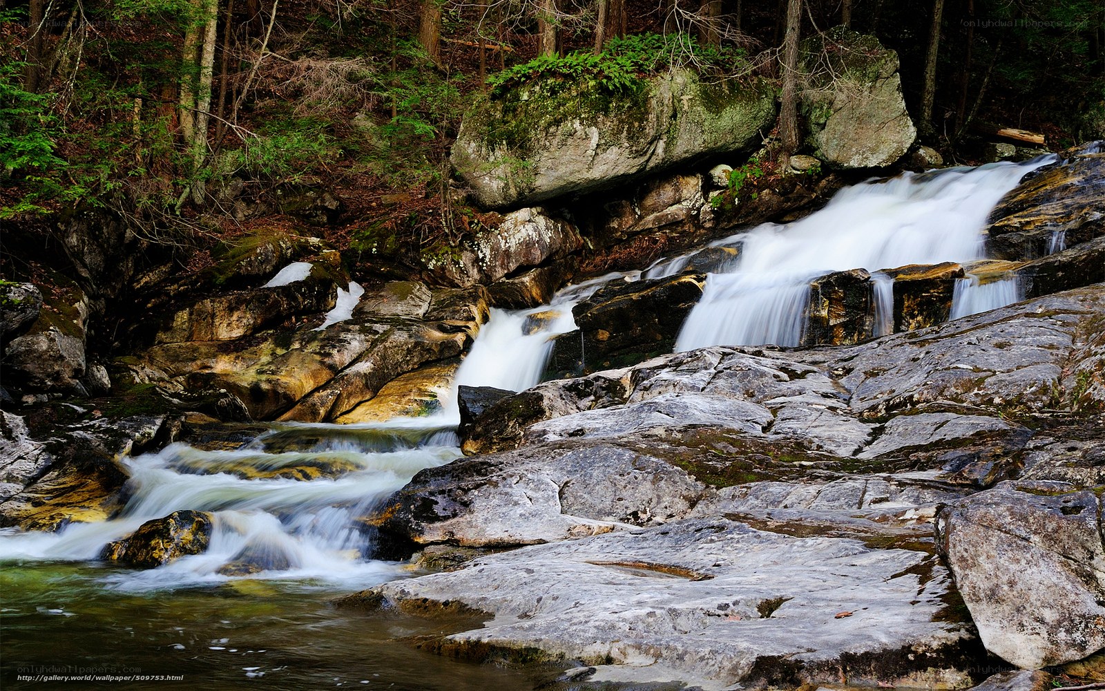 Waterfall in forested area