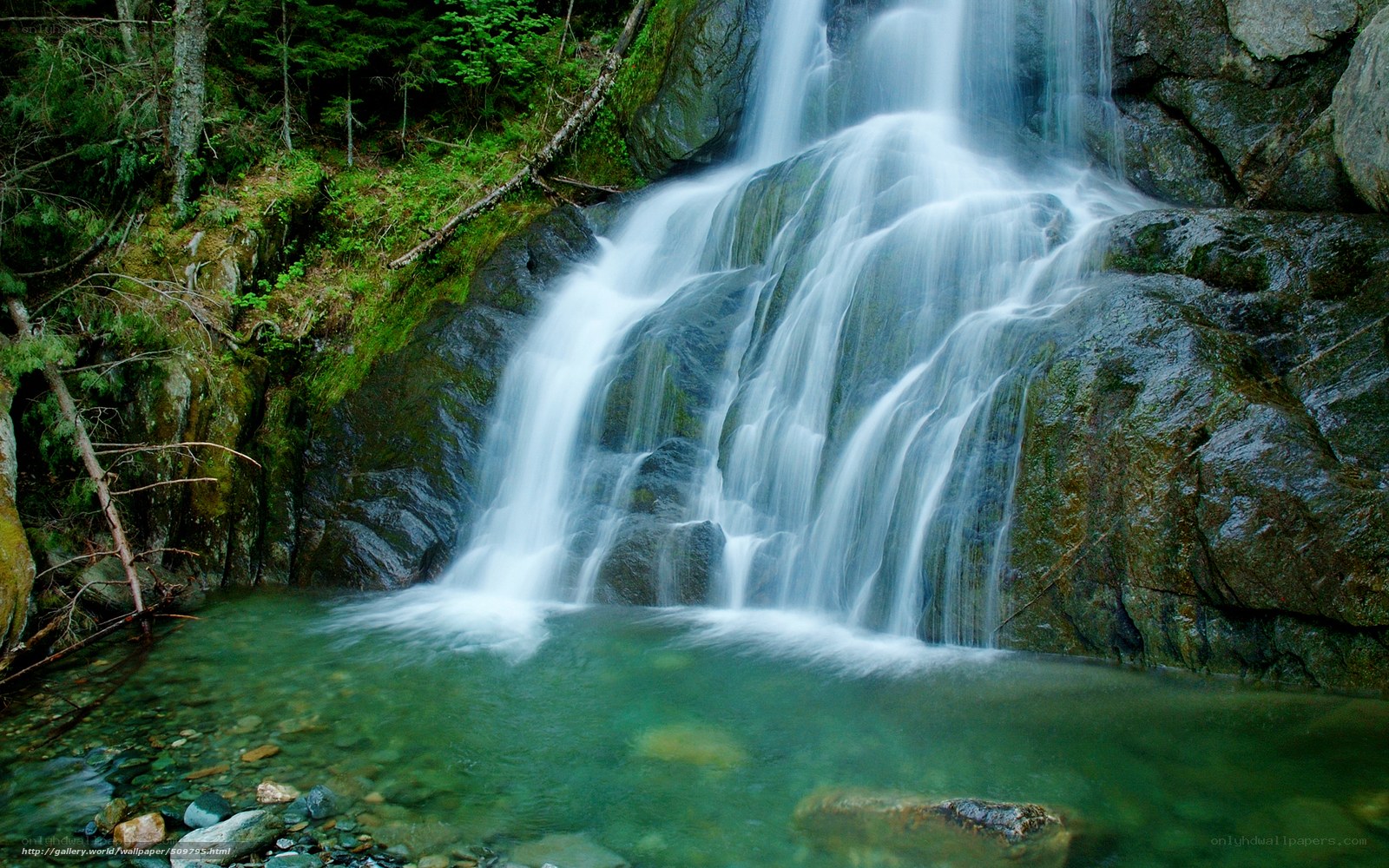 Waterfall in forested area