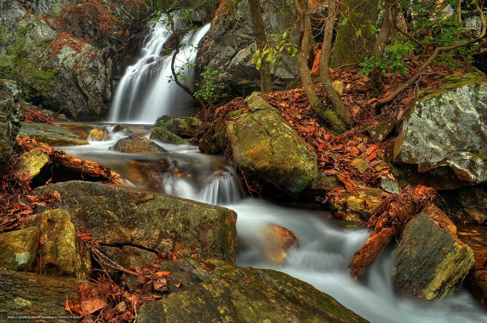 Waterfall in forested area