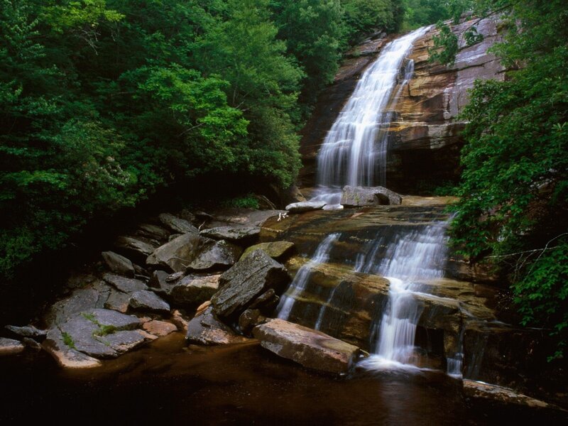 Waterfall in forested area