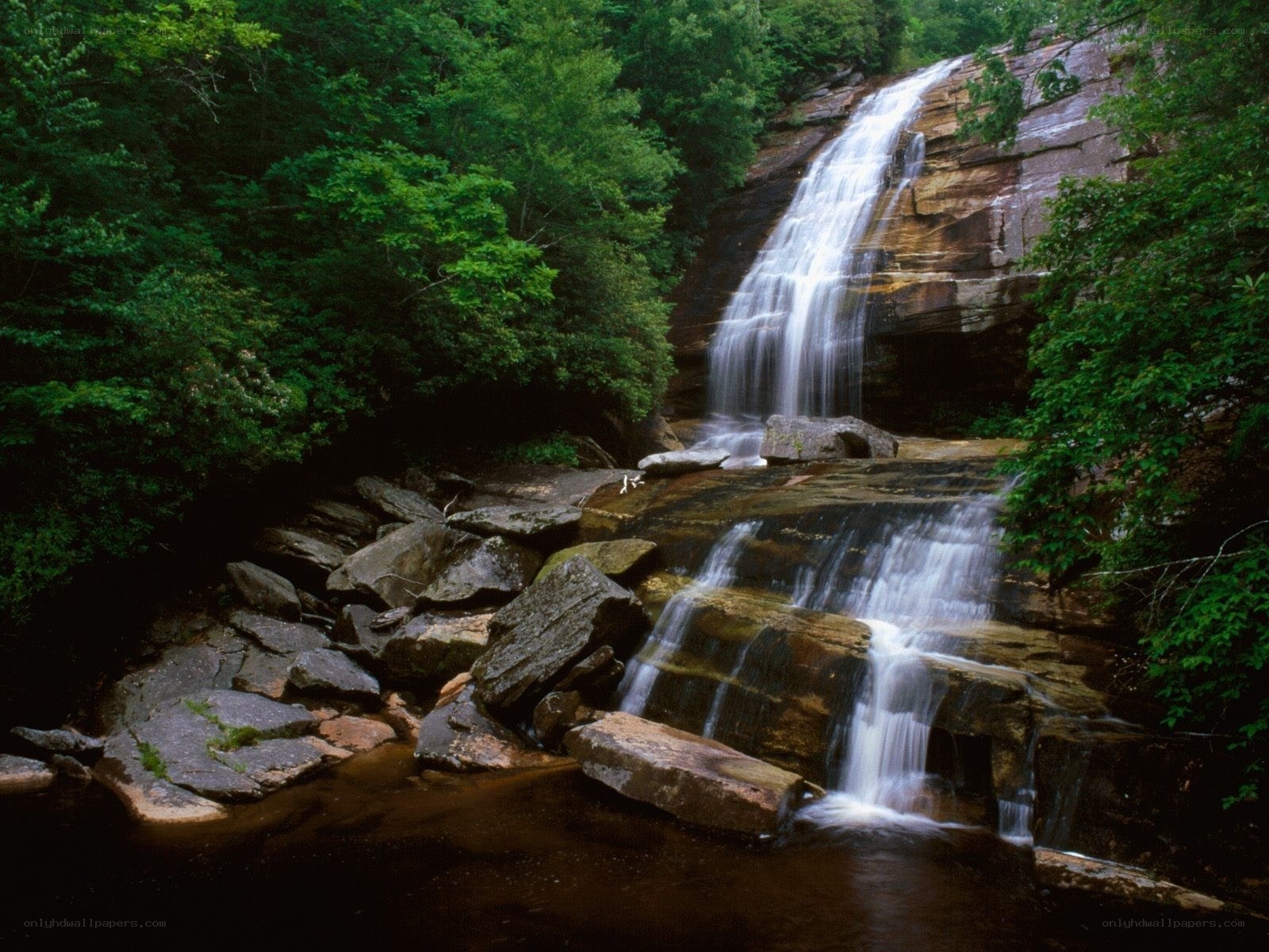 Waterfall in forested area