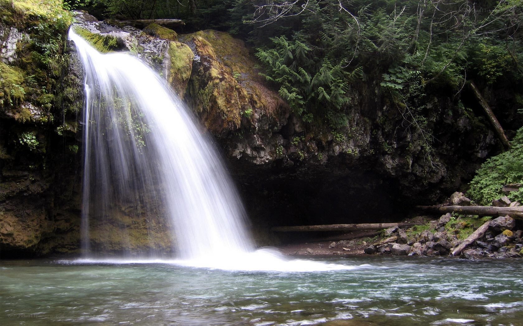 Waterfall in forested area