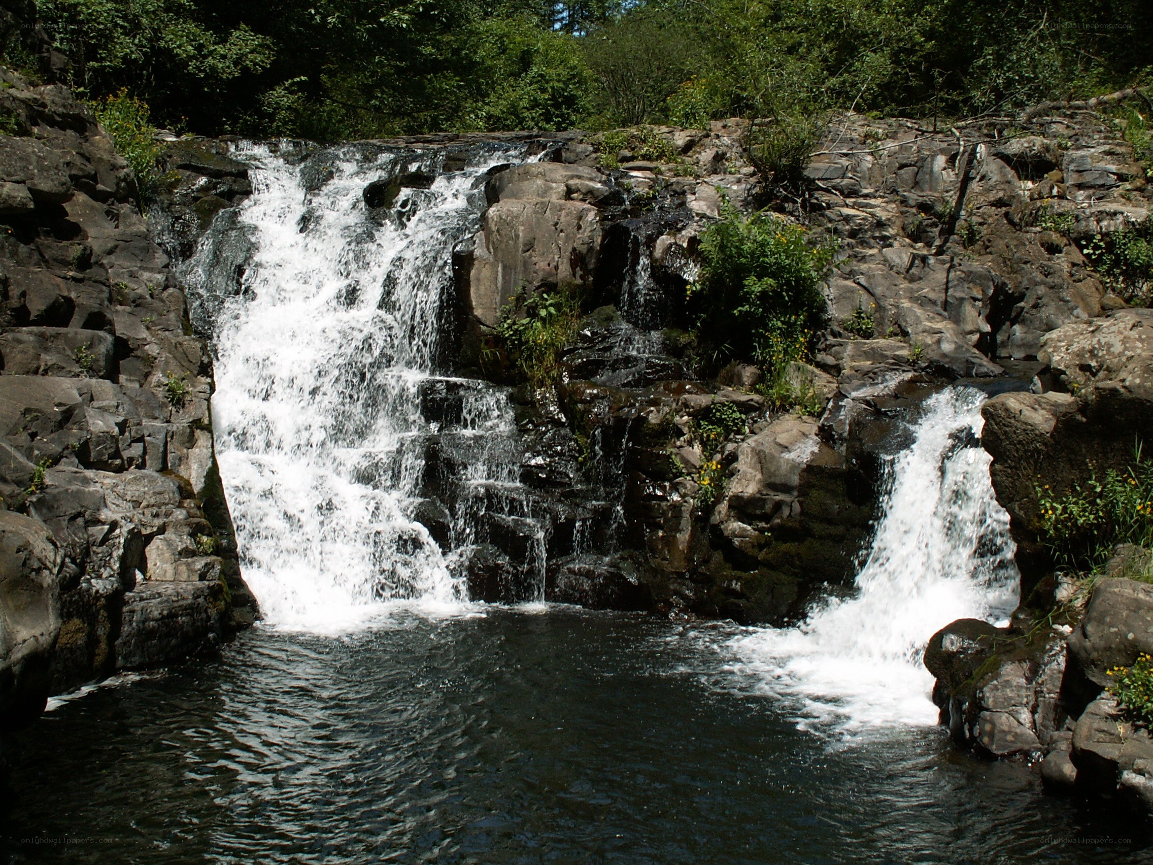 Waterfall in forested area