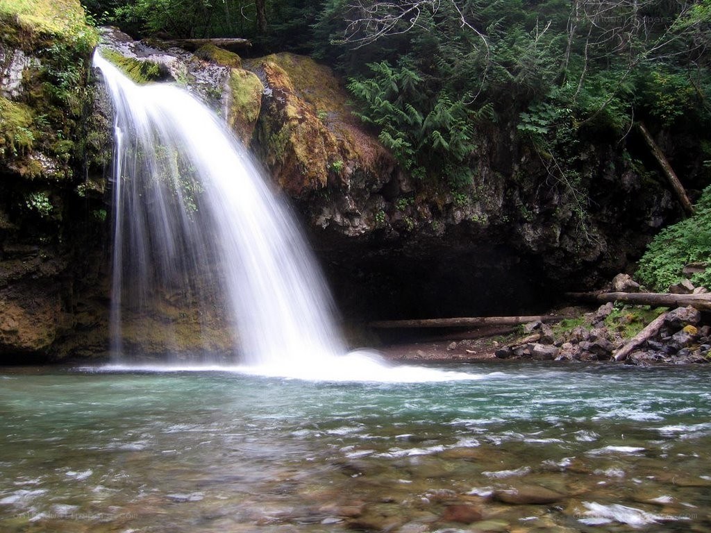 Waterfall in forested area