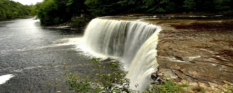 Waterfall in forested area