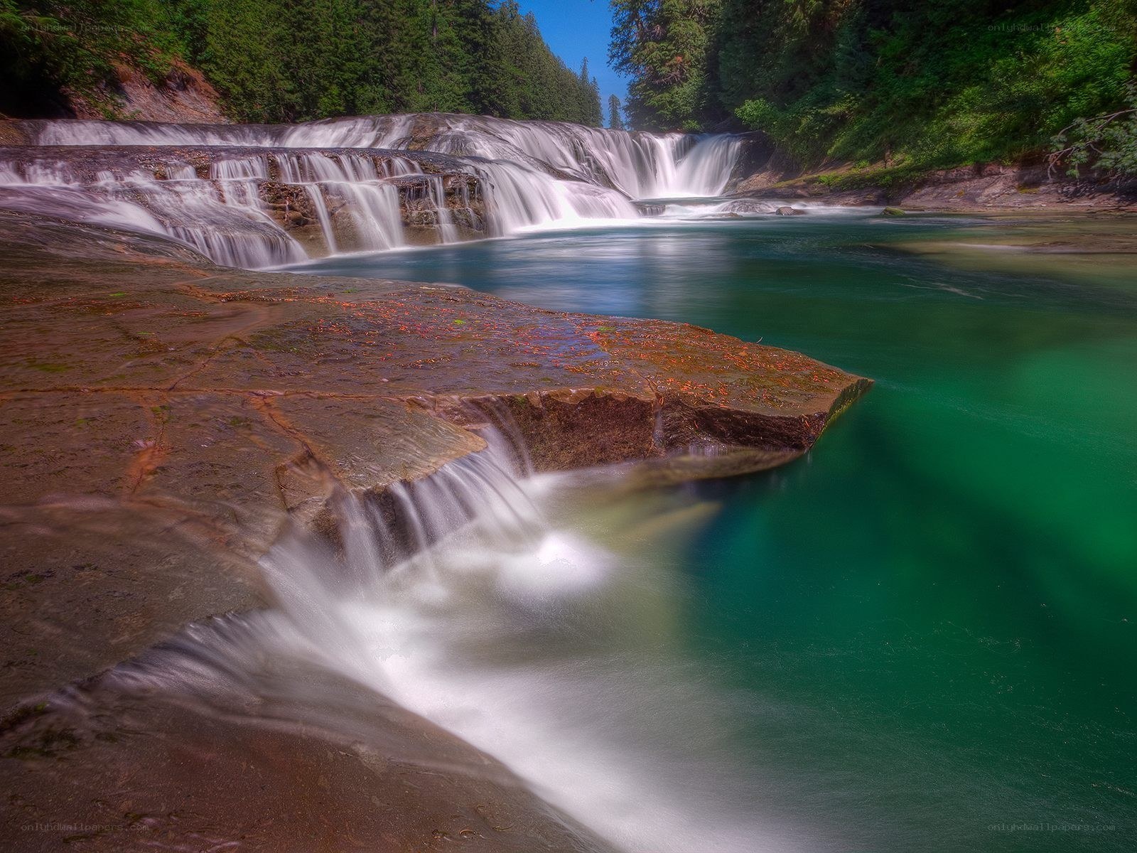 Waterfall in forested area