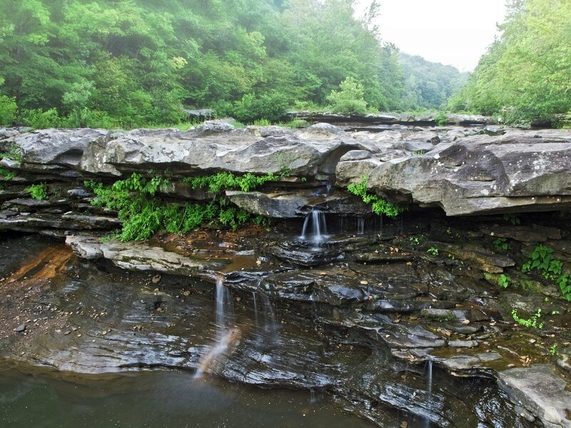 Waterfall in forested area