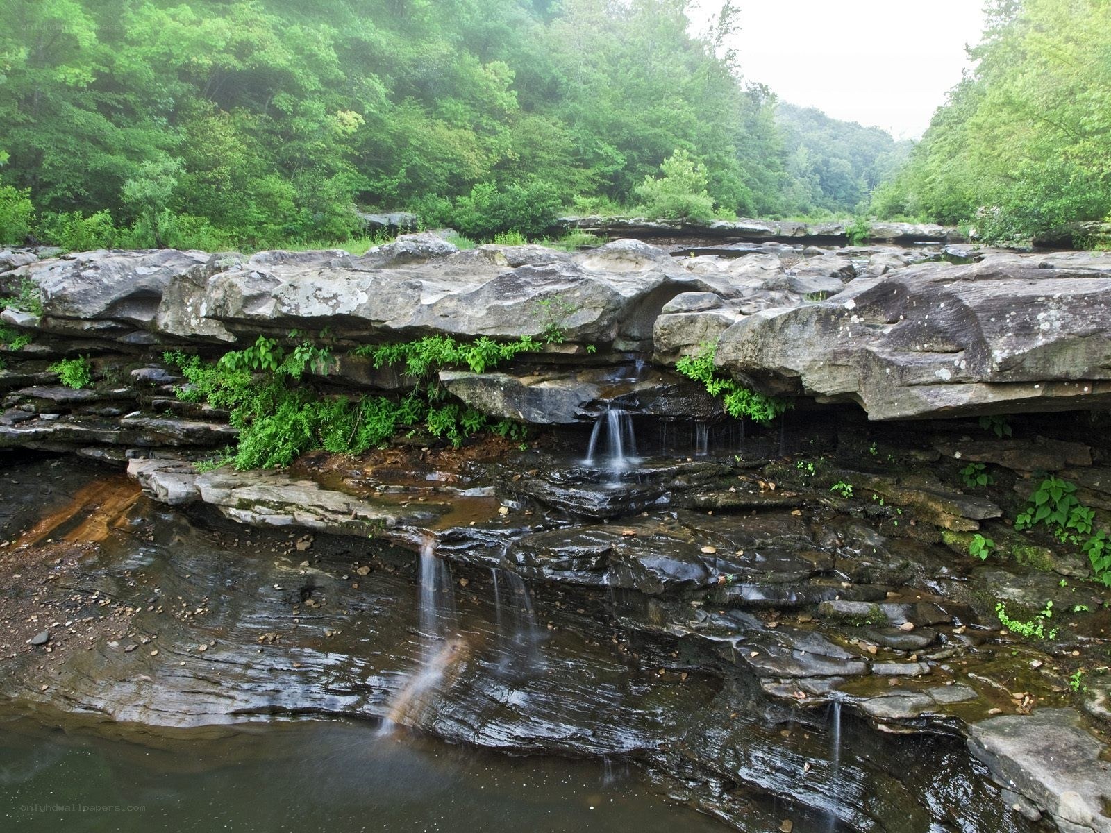Waterfall in forested area