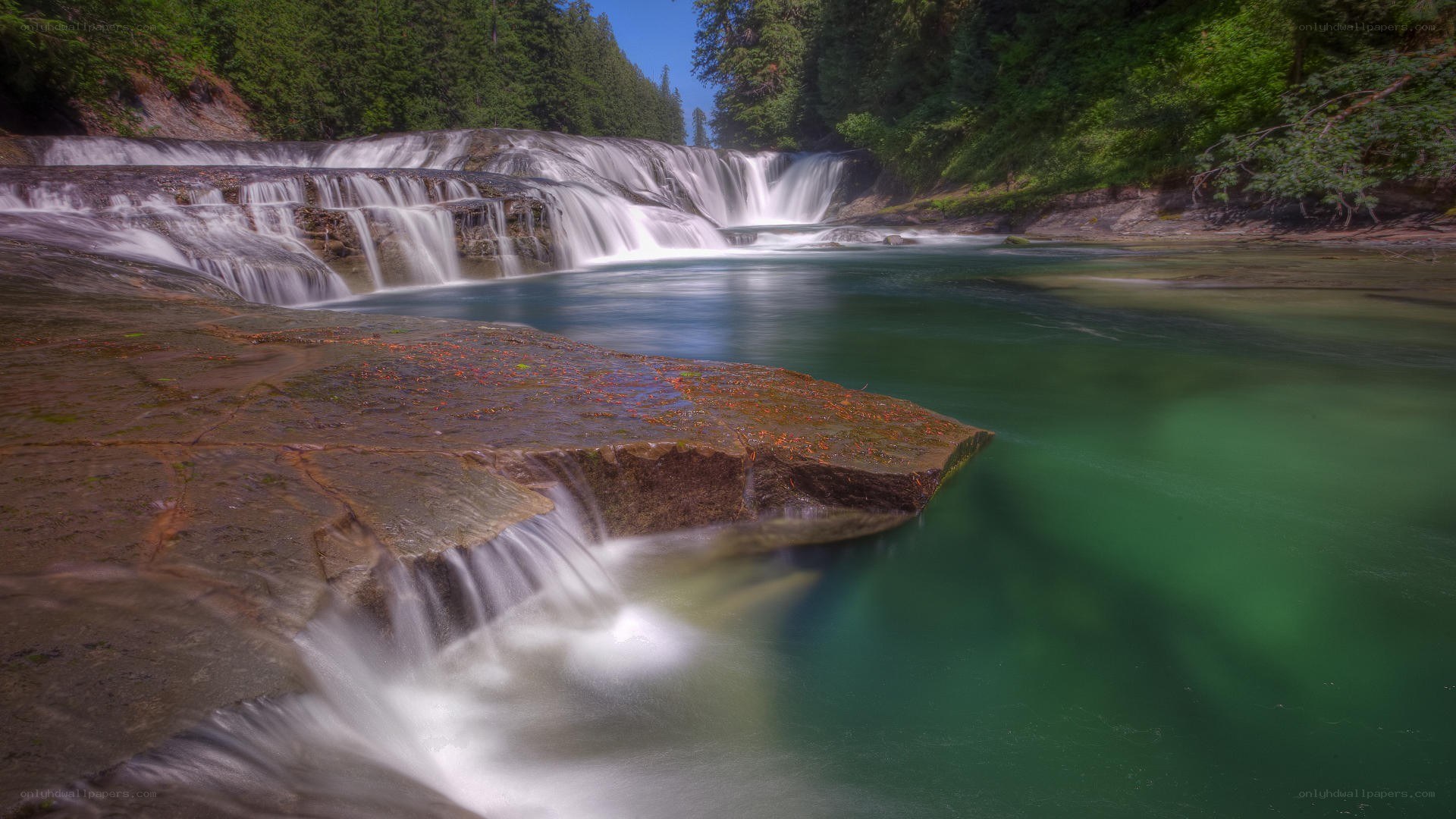 Waterfall in forested area