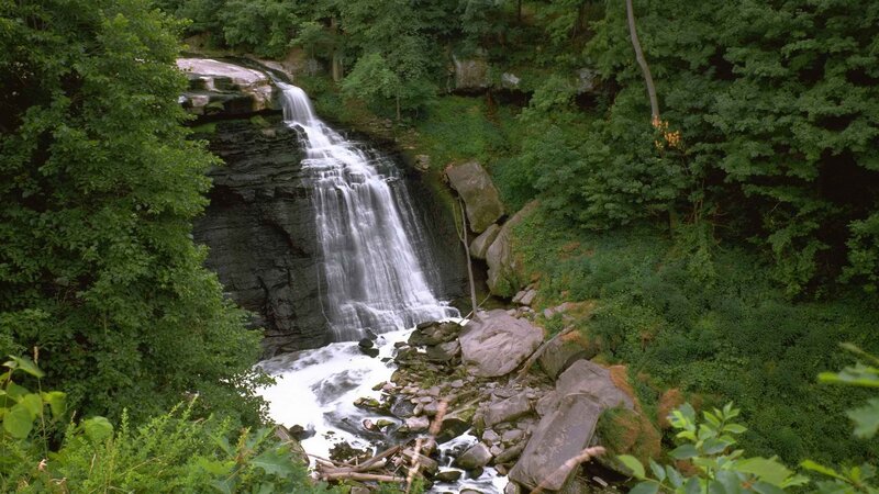 Waterfall in forested area