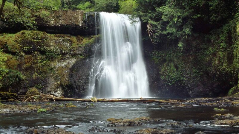 Waterfall in forested area