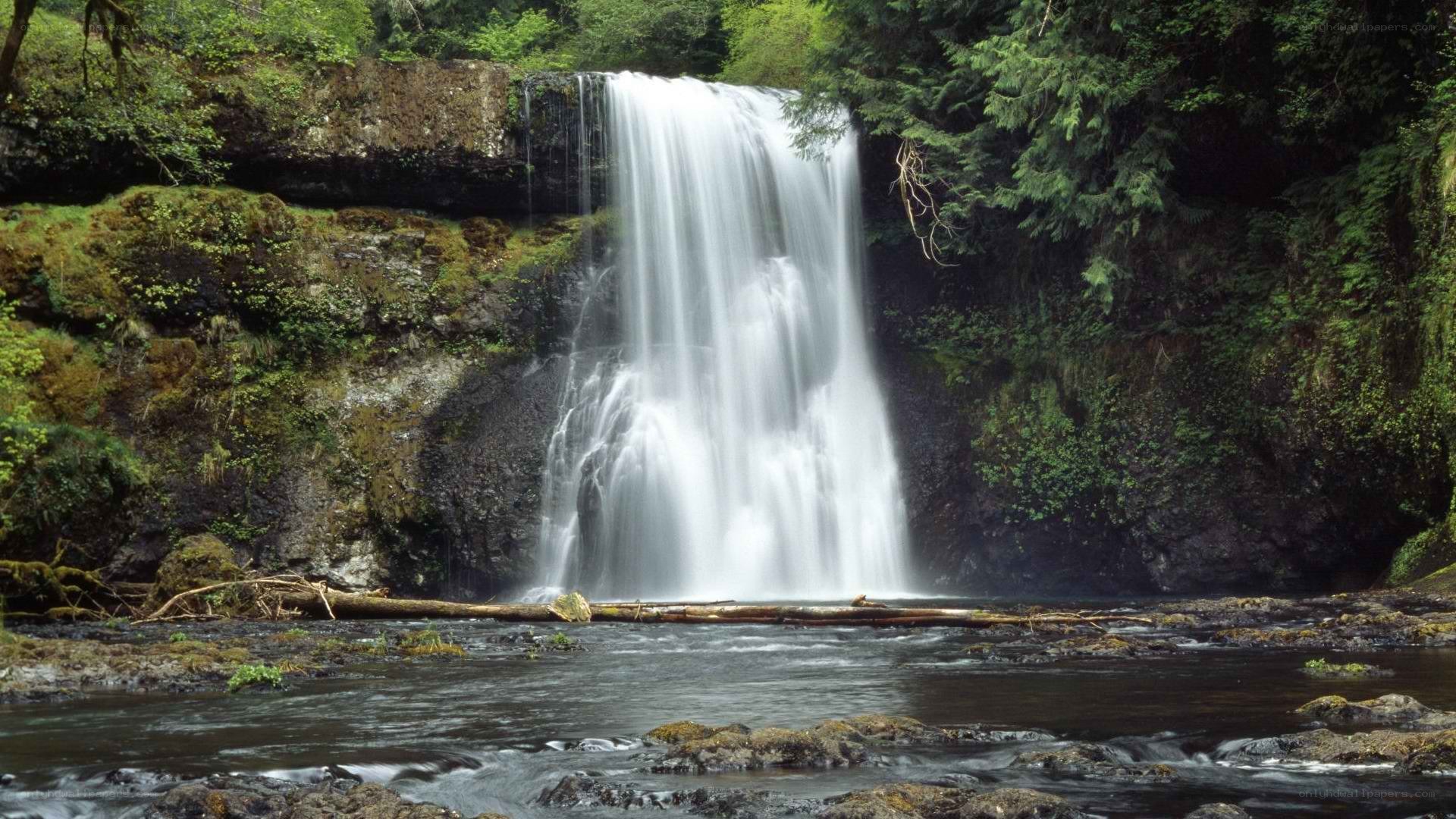 Waterfall in forested area