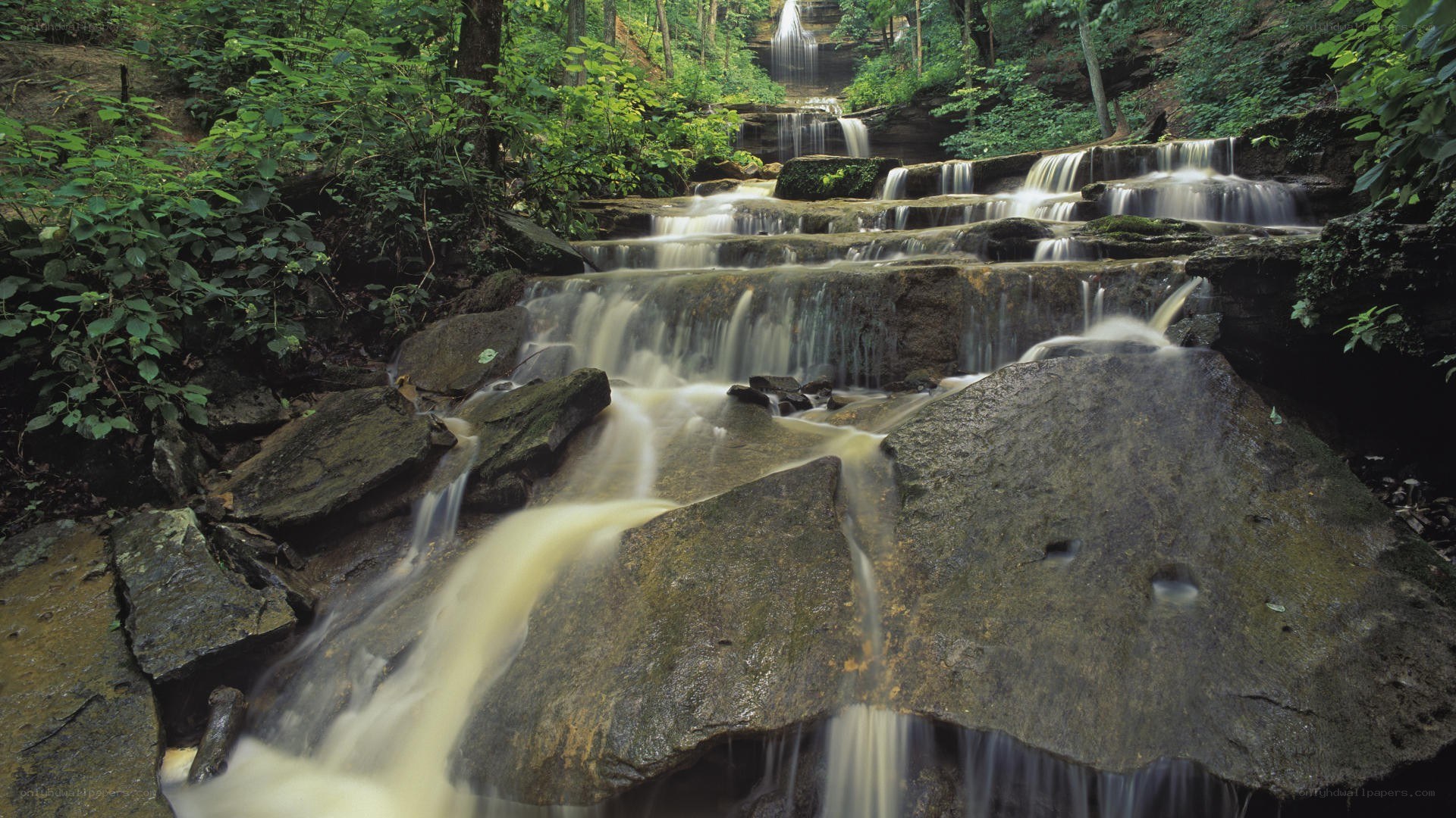 Waterfall in forested area