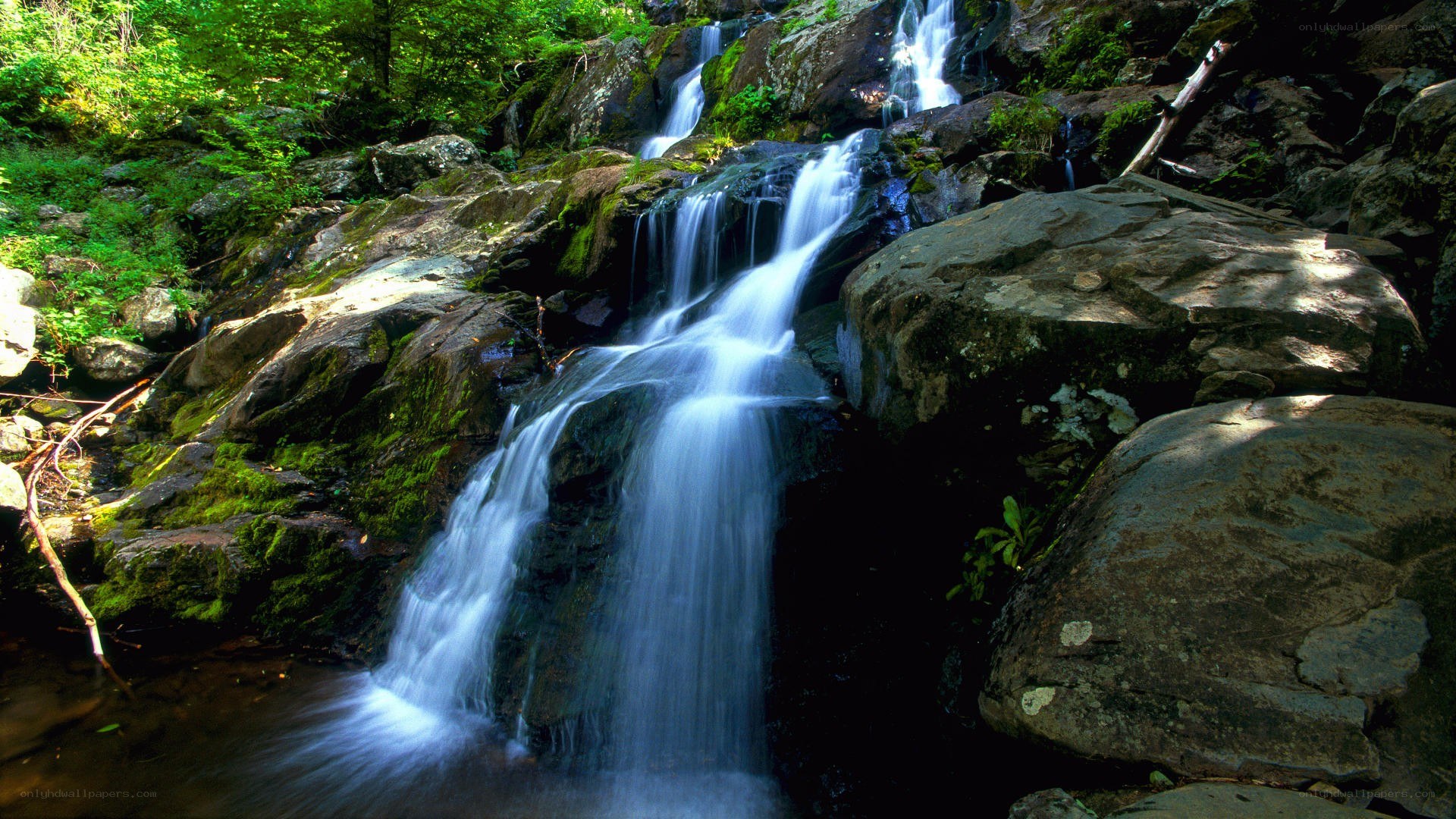 Waterfall in forested area