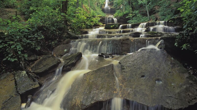 Waterfall in forested area