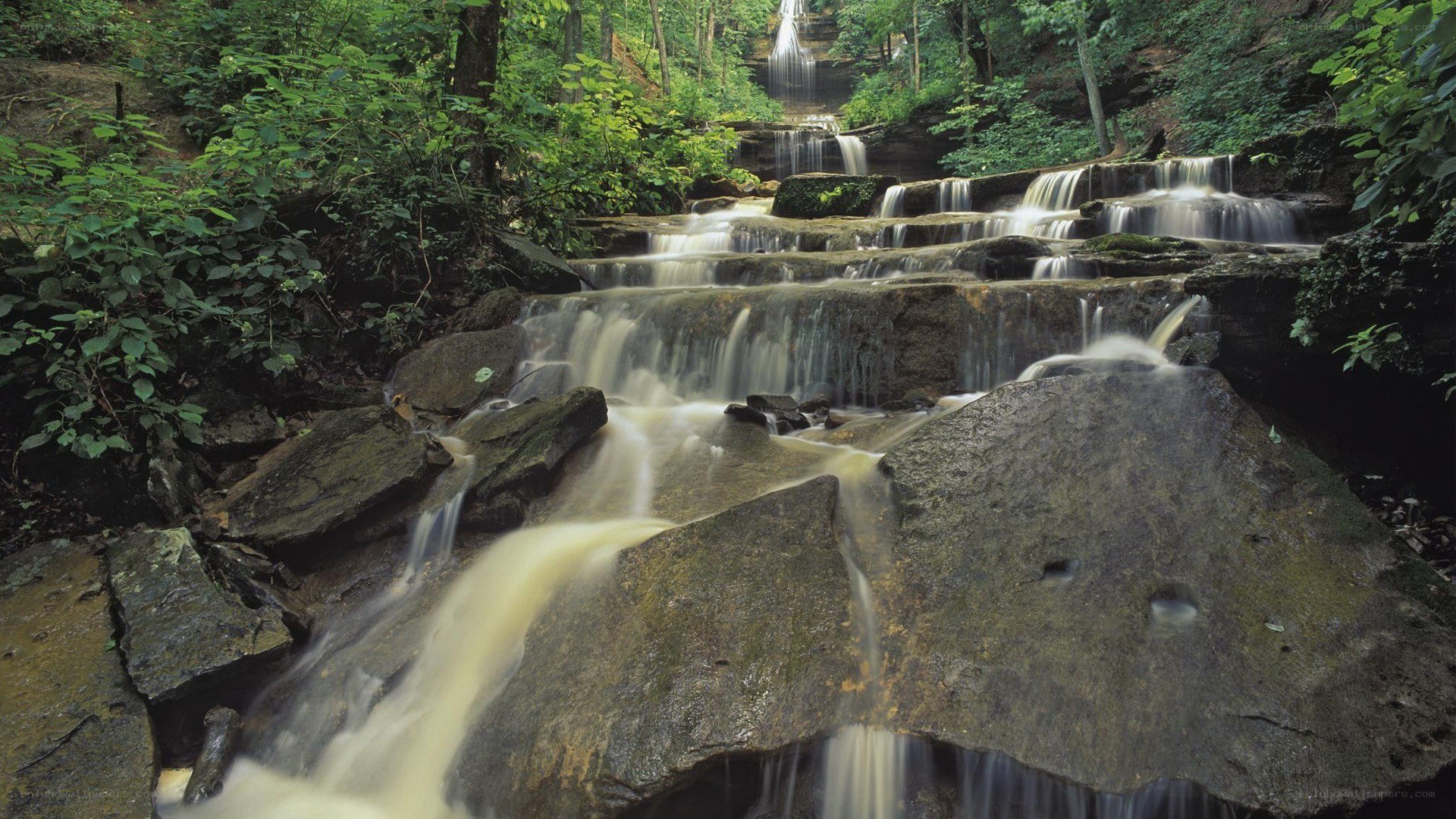 Waterfall in forested area