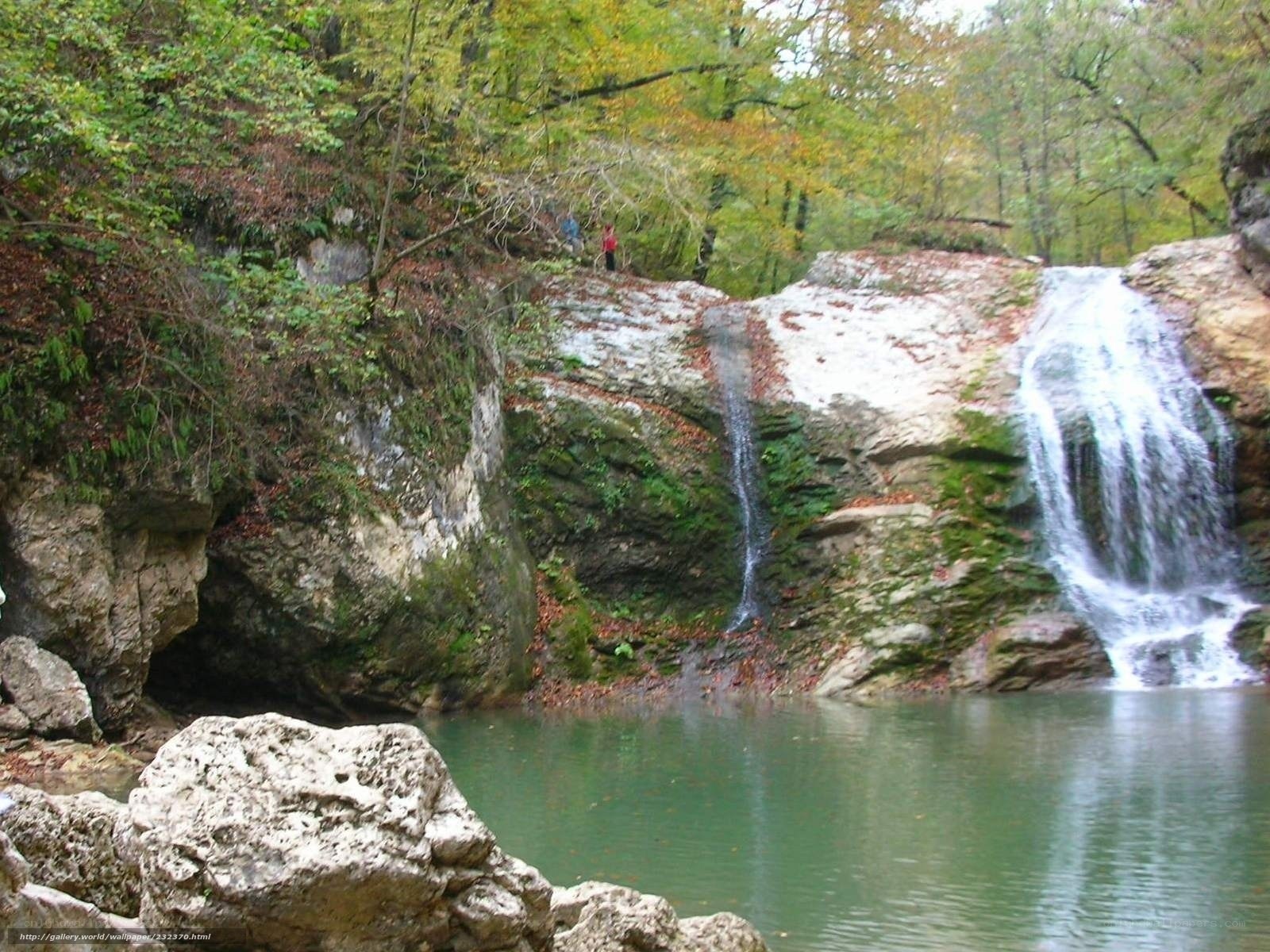 Waterfall in forested area