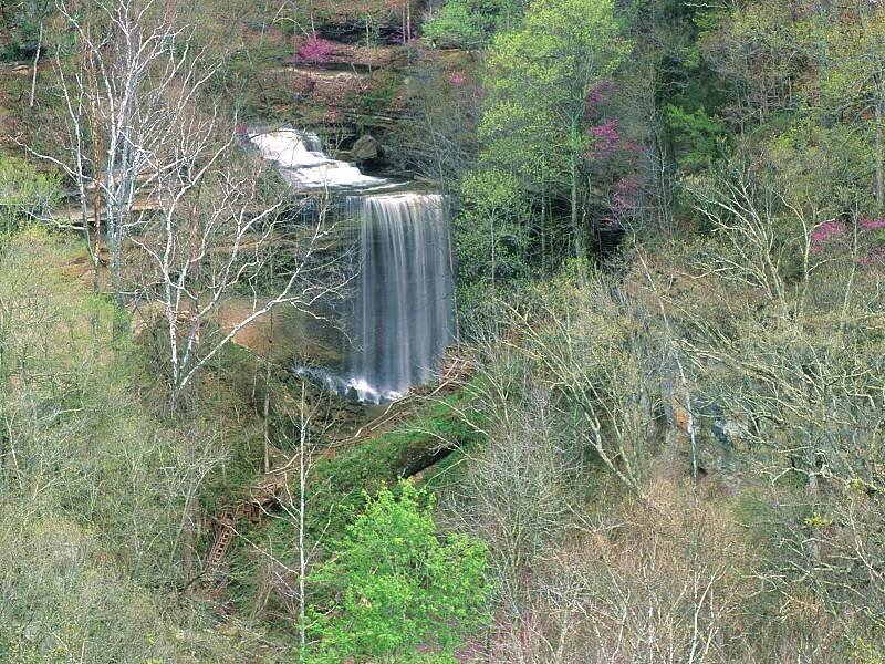 Waterfall in forested area