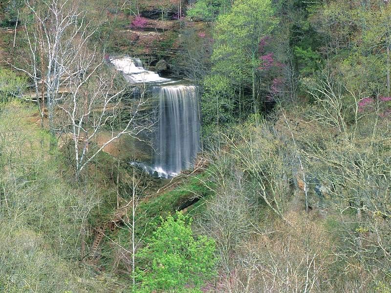Waterfall in forested area