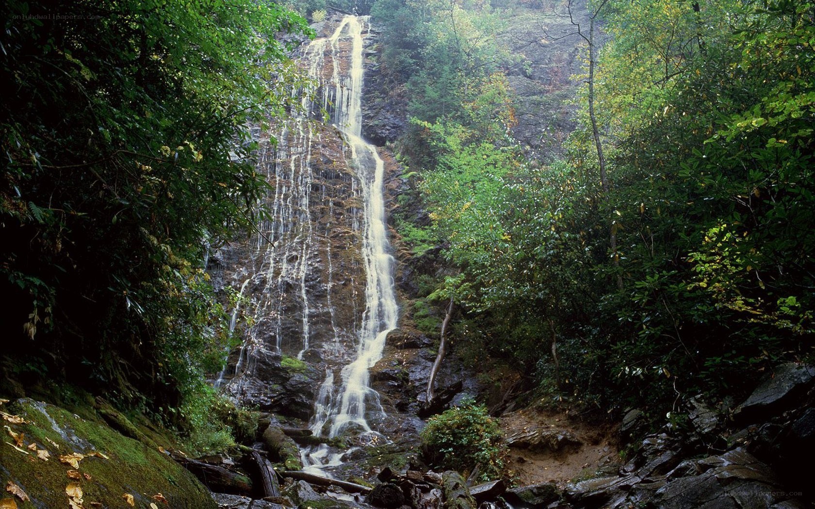 Waterfall in forested area