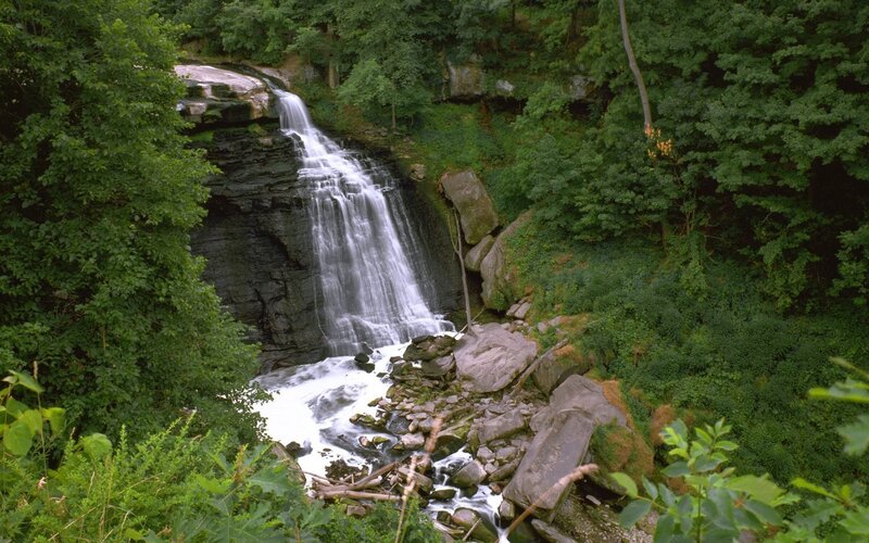 Waterfall in forested area