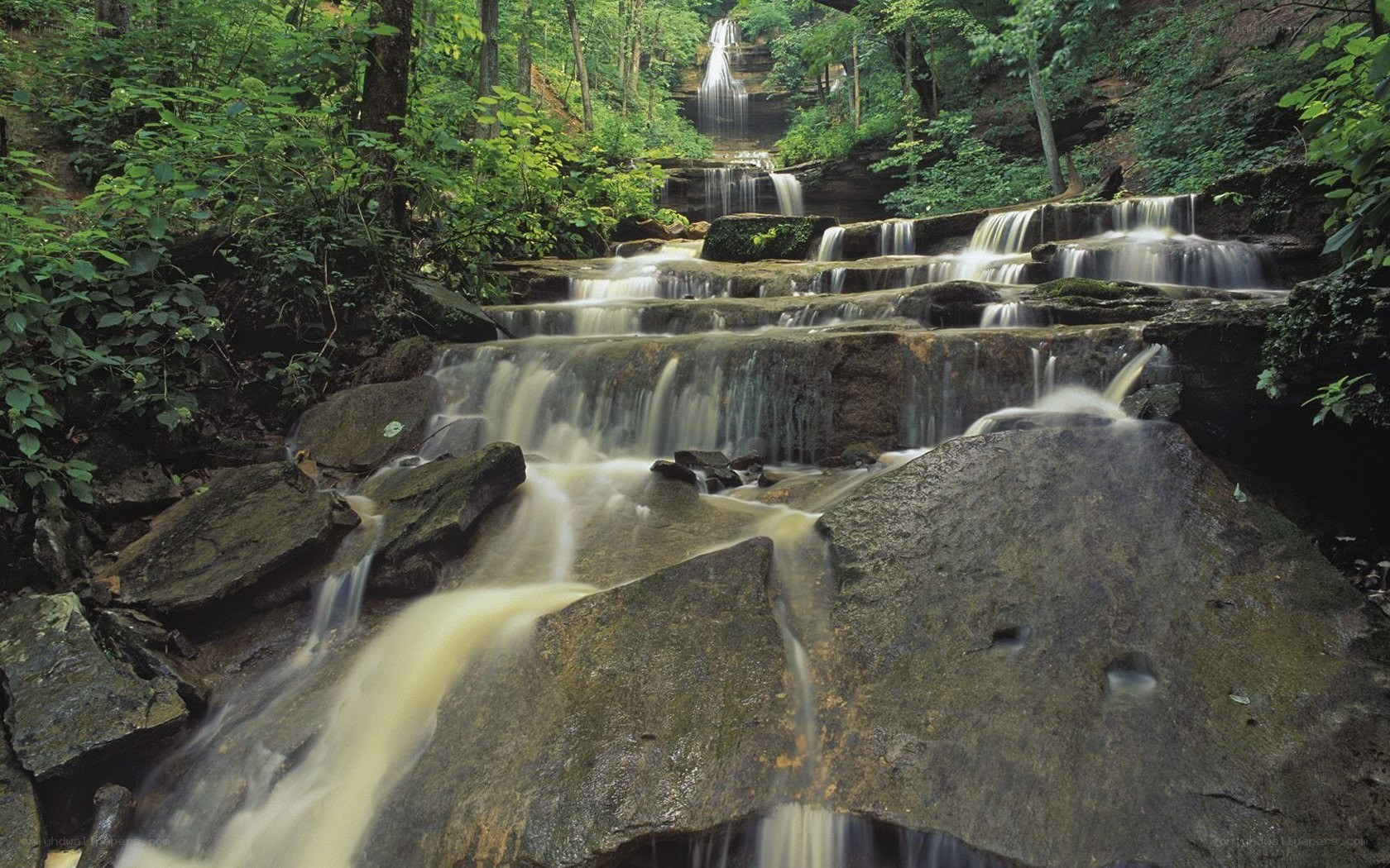 Waterfall in forested area