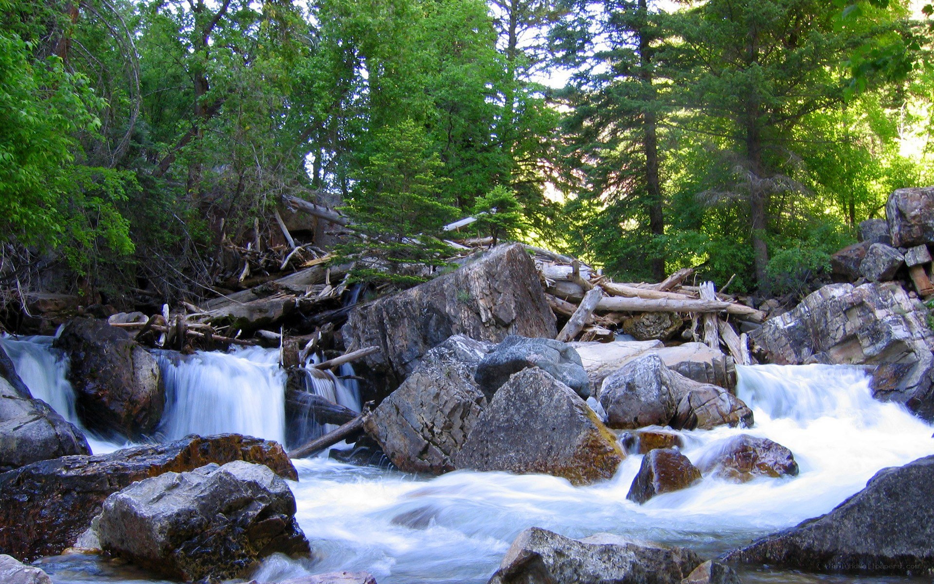 Waterfall in forested area