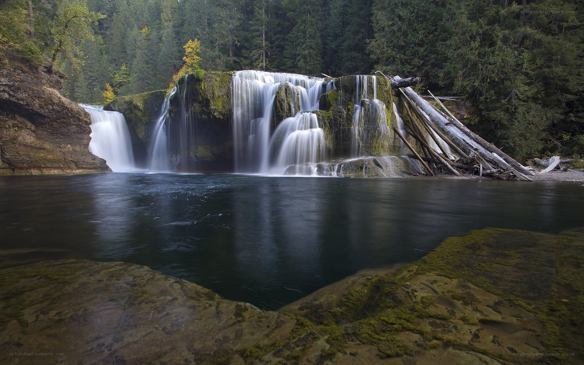 Waterfall in forested area