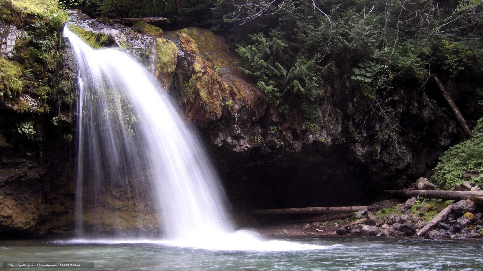 Waterfall in forested area