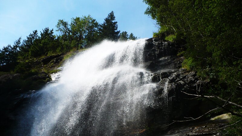 Waterfall in forested area