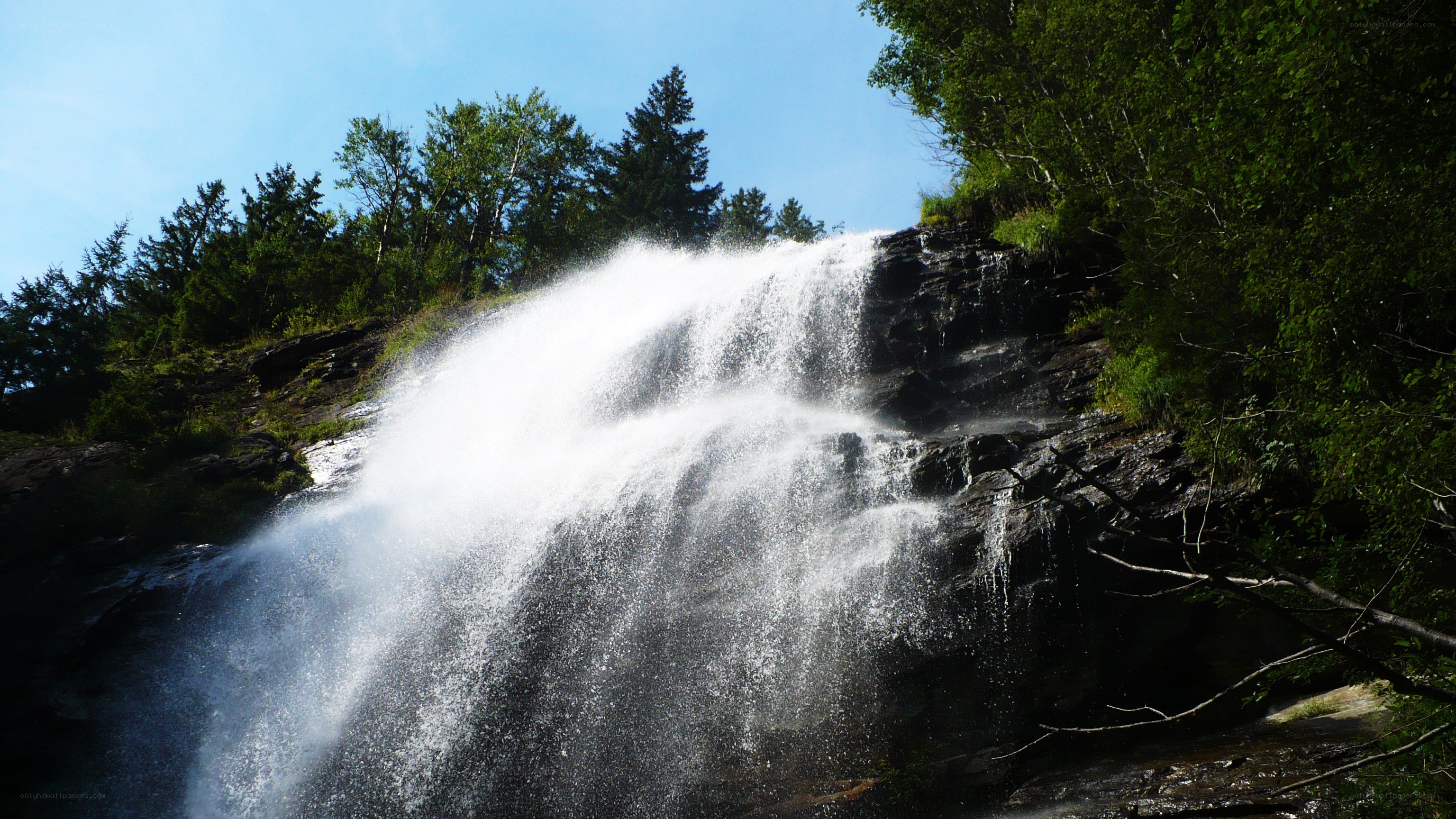 Waterfall in forested area
