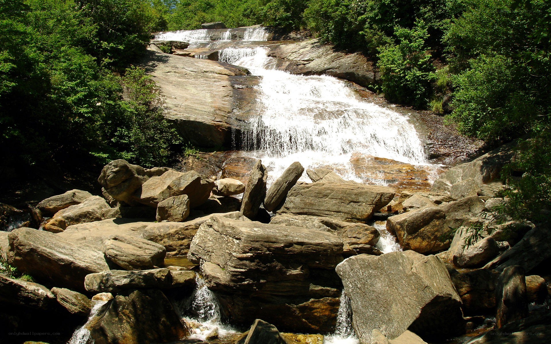 Waterfall in forested area