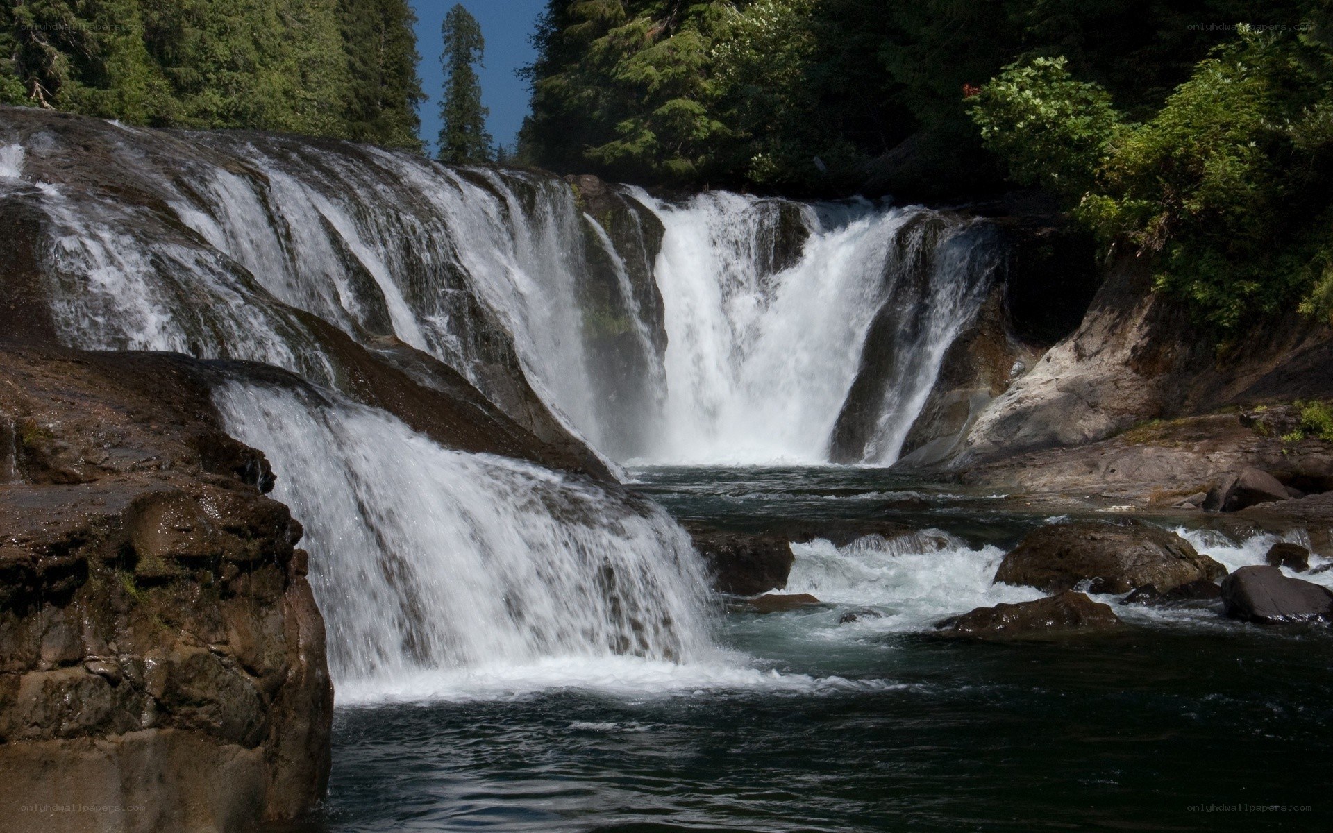 Waterfall in forested area