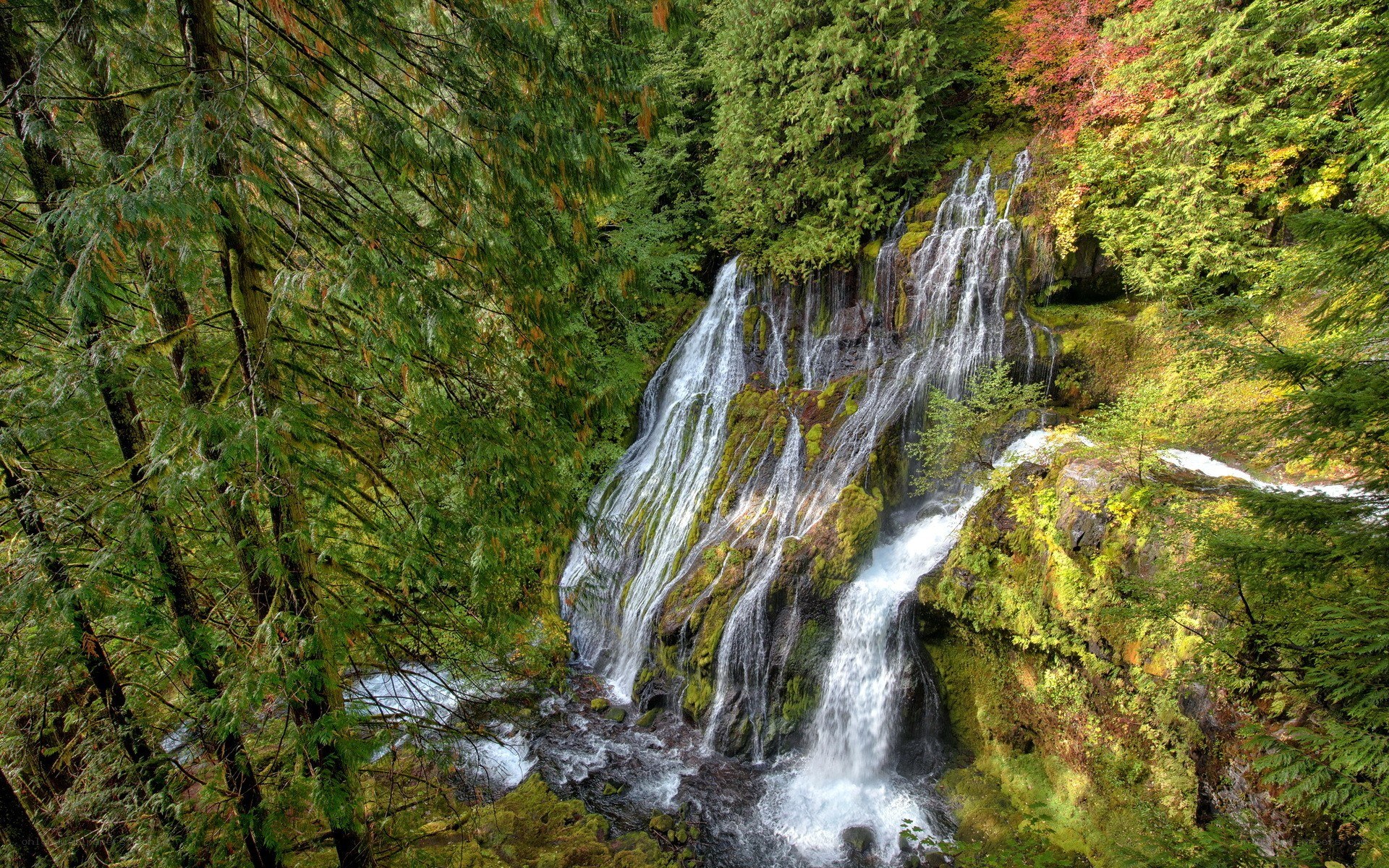Waterfall in forested area