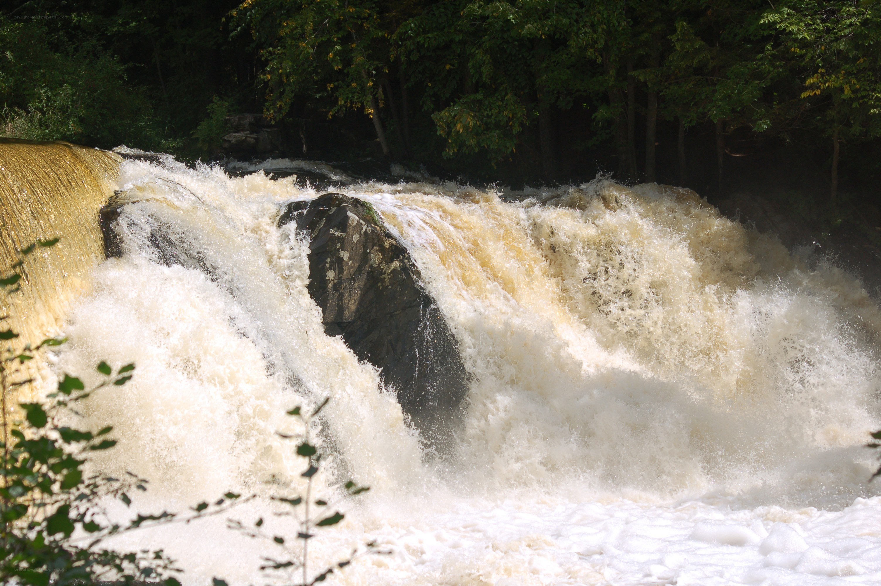 Waterfall in forested area