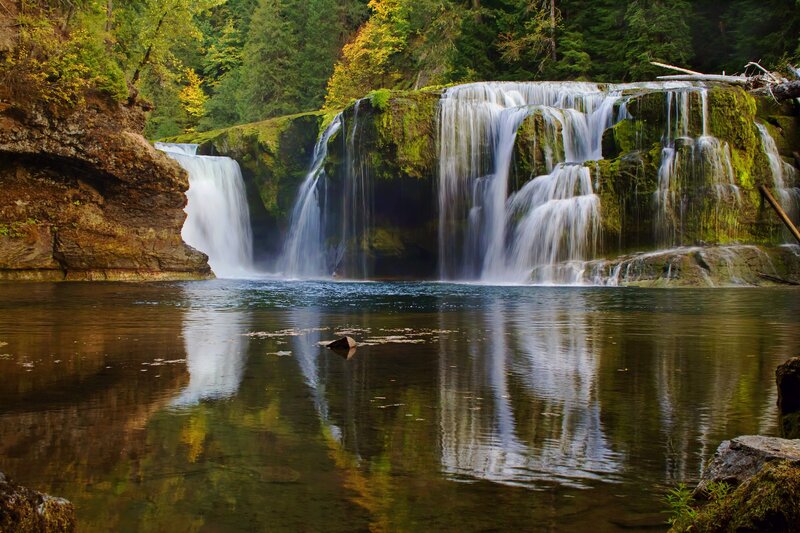 Waterfall in forested area