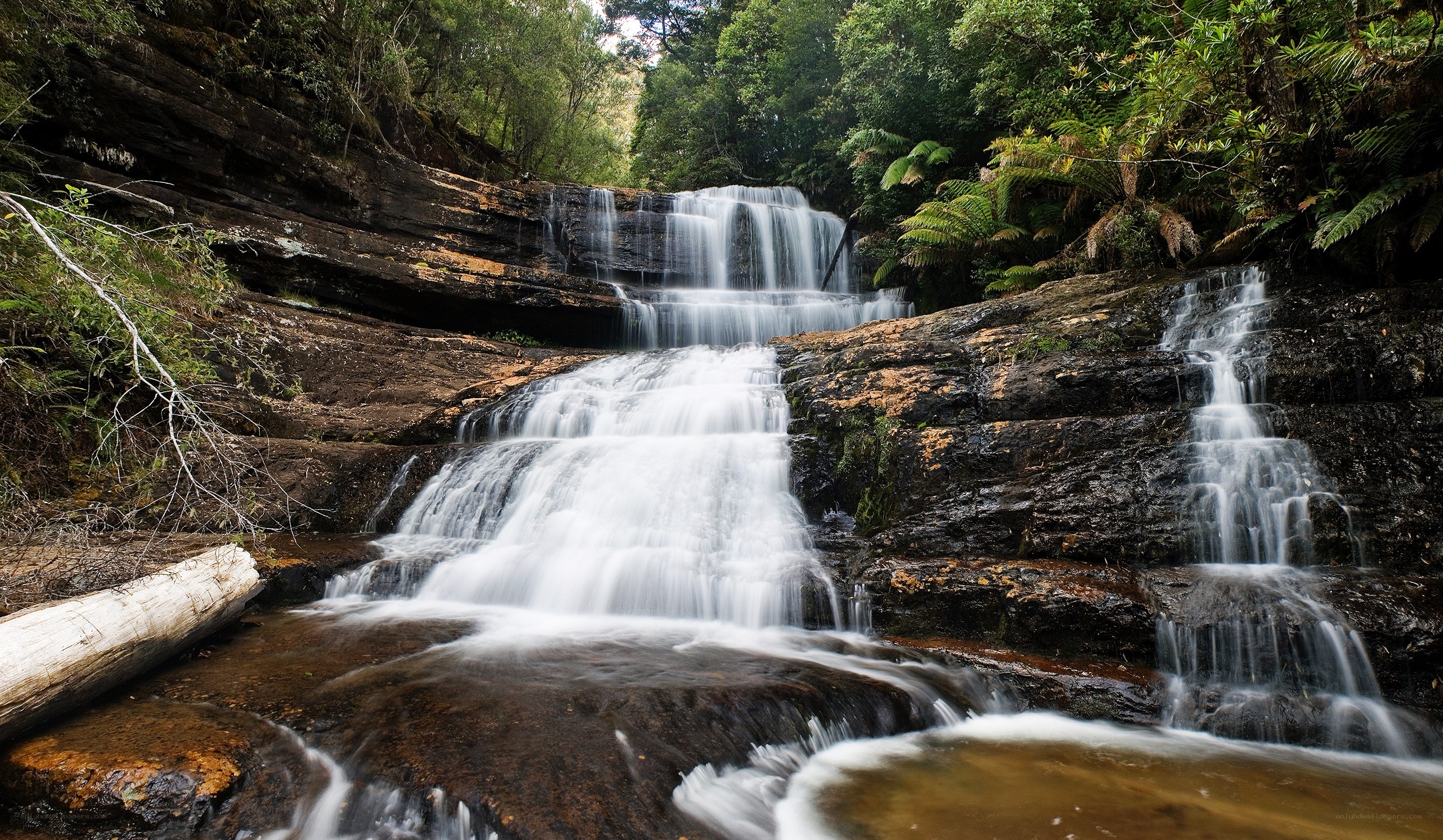 Waterfall in forested area