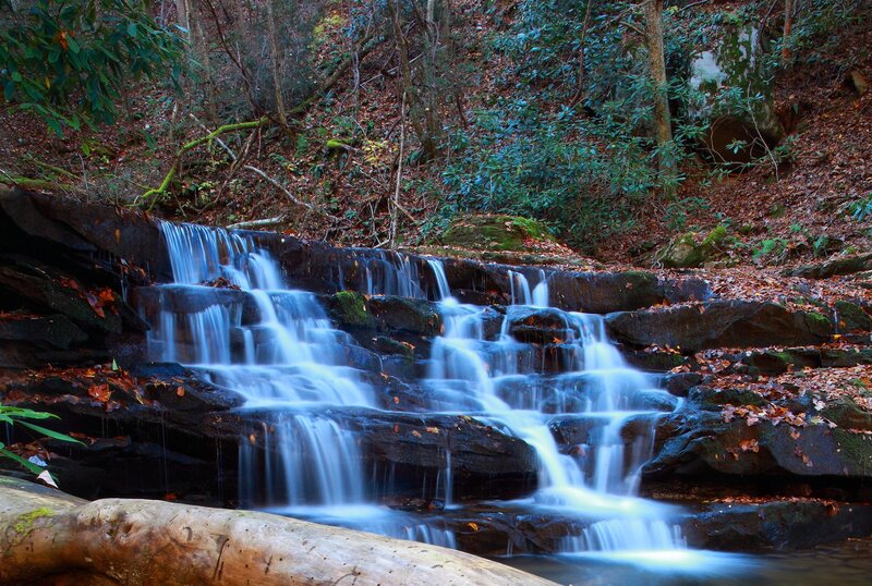 Waterfall in forested area