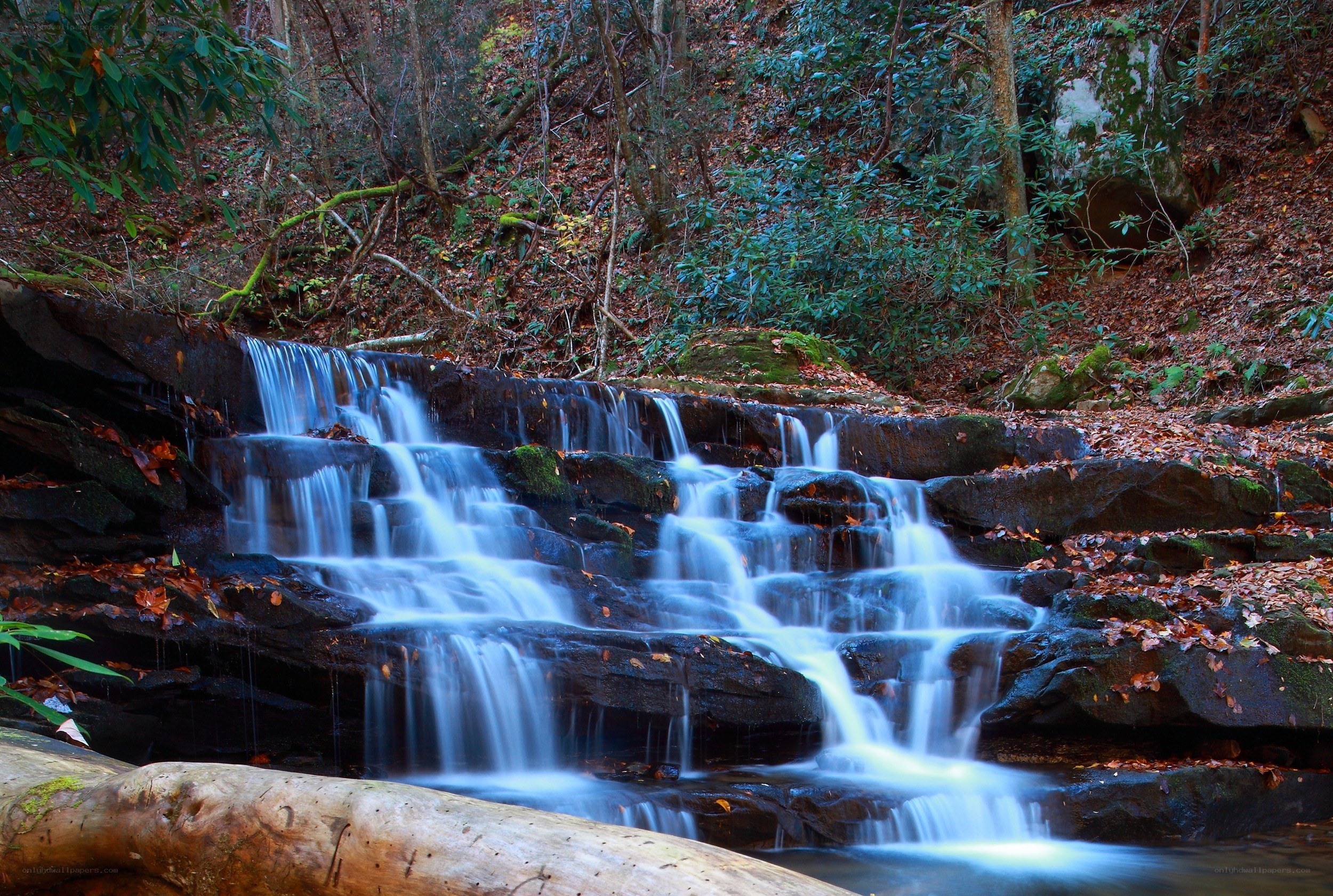Waterfall in forested area