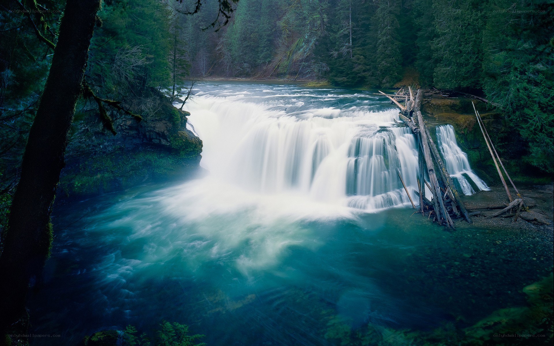 Waterfall in forested area