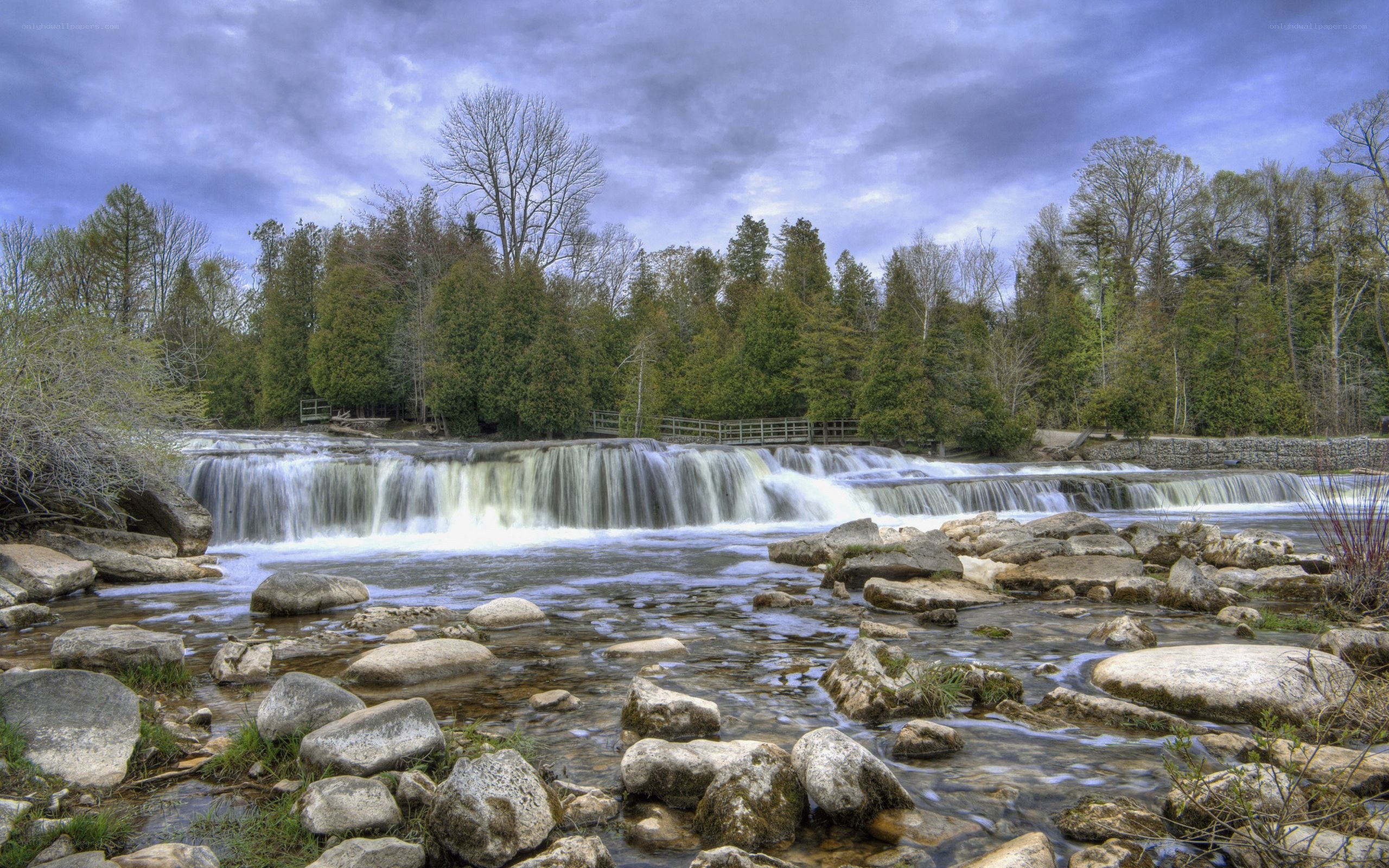 Waterfall in forested area