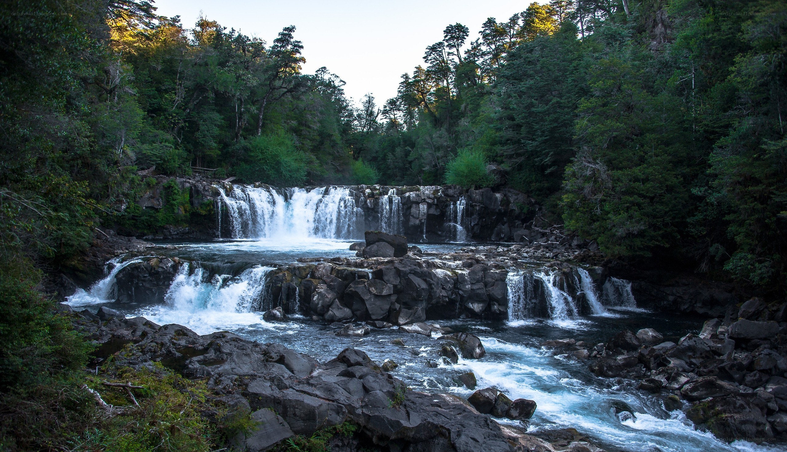 Waterfall in forested area
