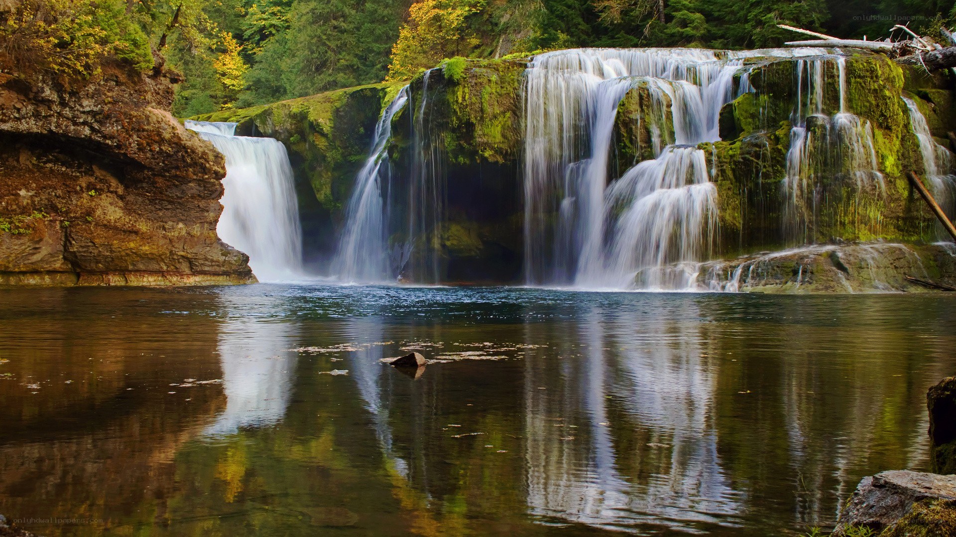 Waterfall in forested area