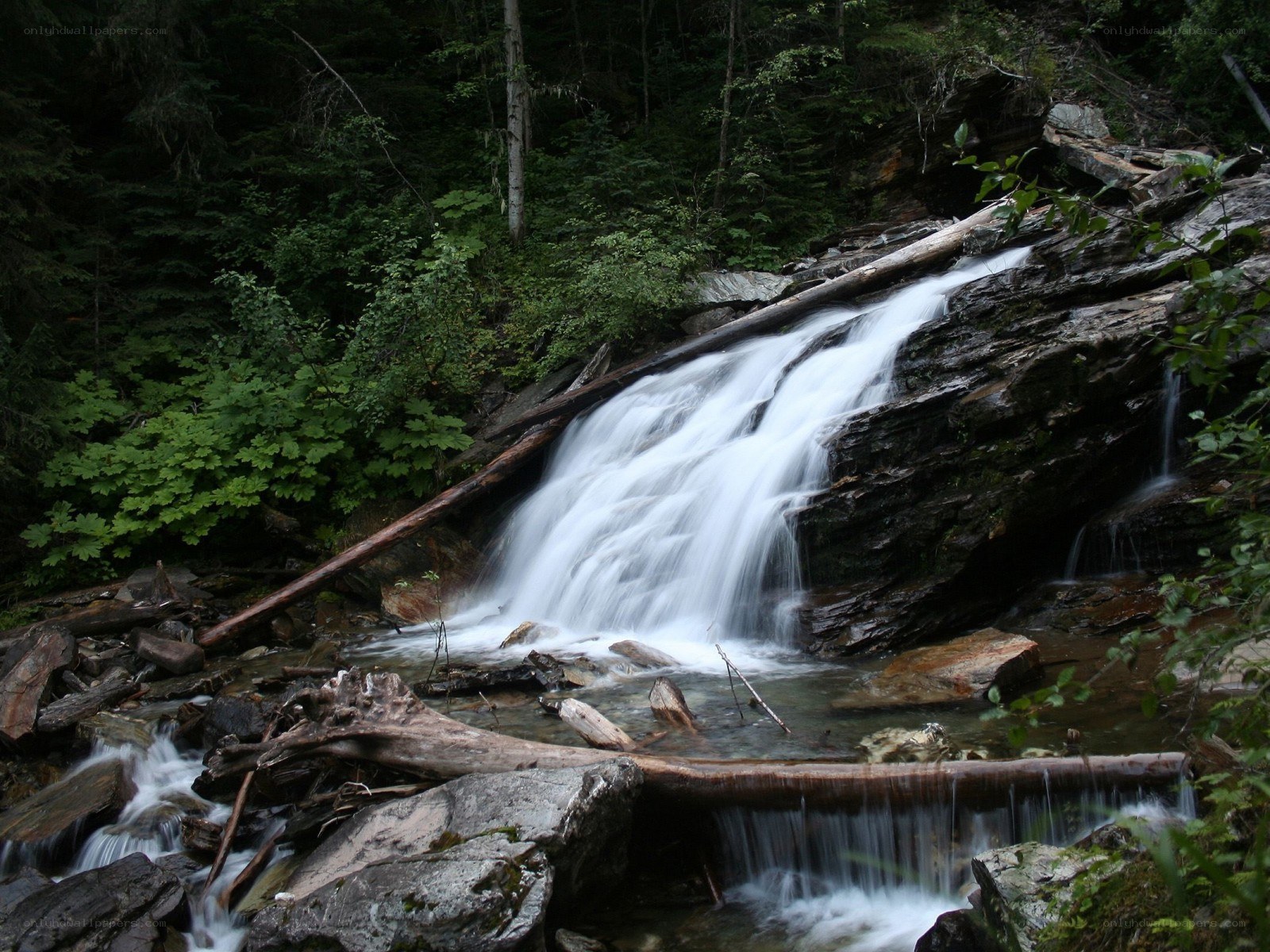 Waterfall in forested area