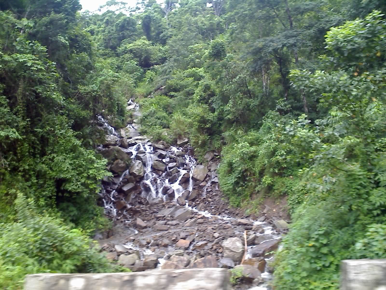 Waterfall in forested area