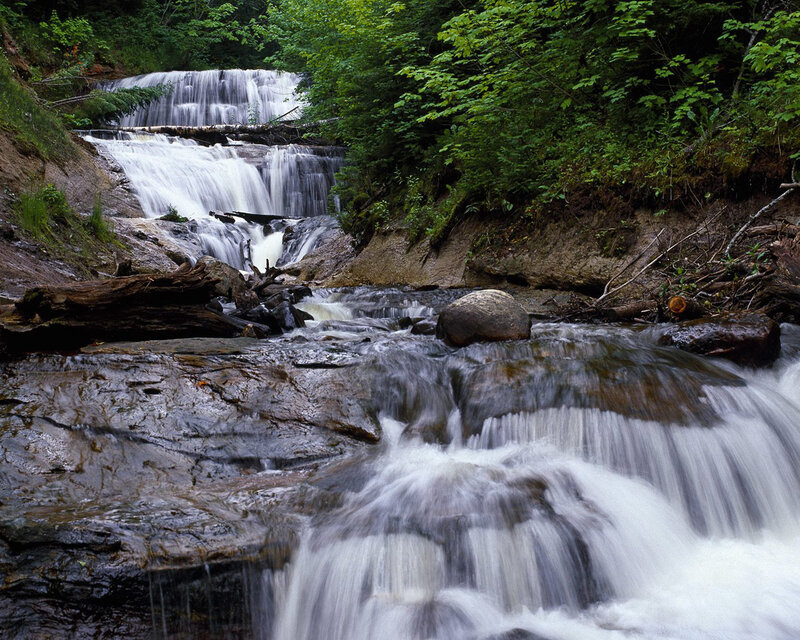 Waterfall in forested area