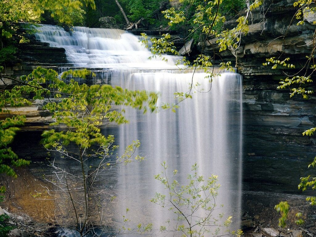 Waterfall in forested area