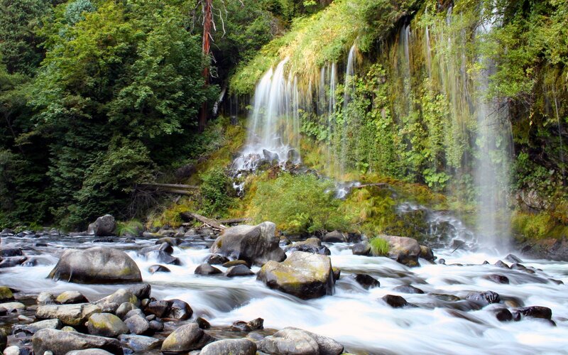 Waterfall in forested area