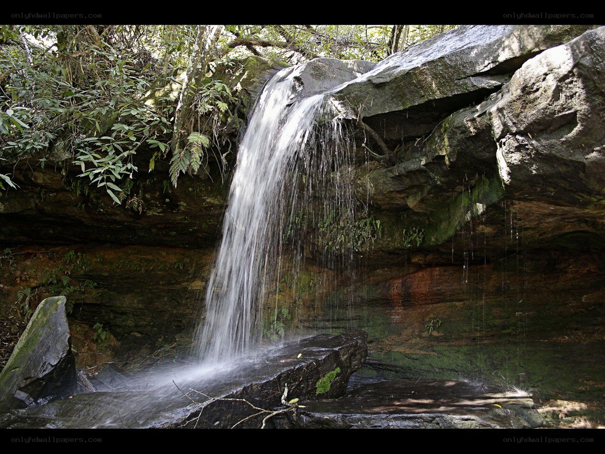 Waterfall in forested area